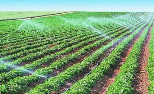 37黄色视频农田高 效节水灌溉